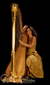 Musica matrimonio organizzazione