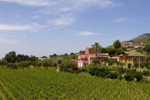 agriturismo 2