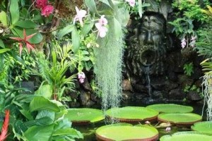 ischia giardino2
